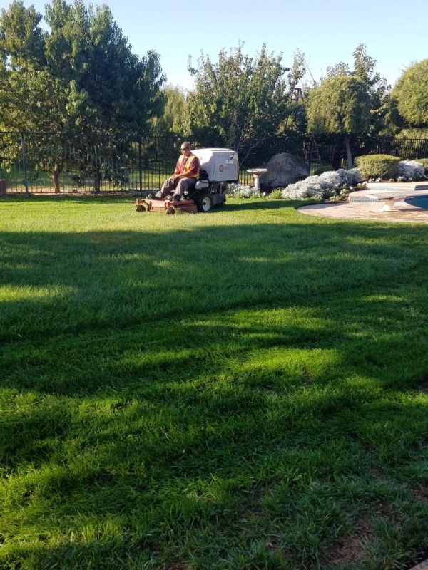Lawn and Yard Maintenance by Tovar Landscape Co.