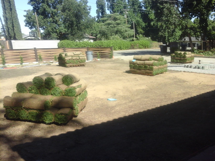 Tovar Landscape Co. - Landscape, yard maintenance and more